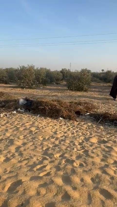 سمسار اراضي