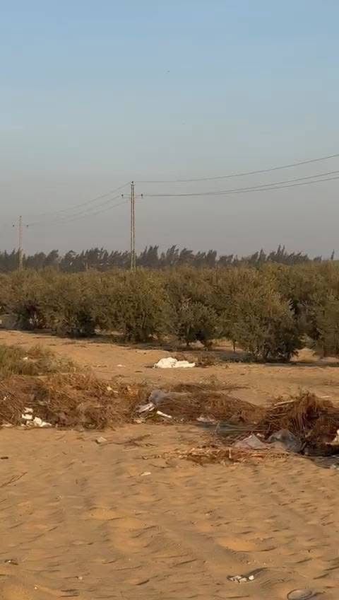 سمسار اراضي