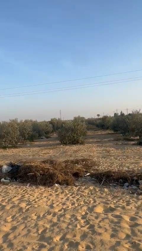 سمسار اراضي