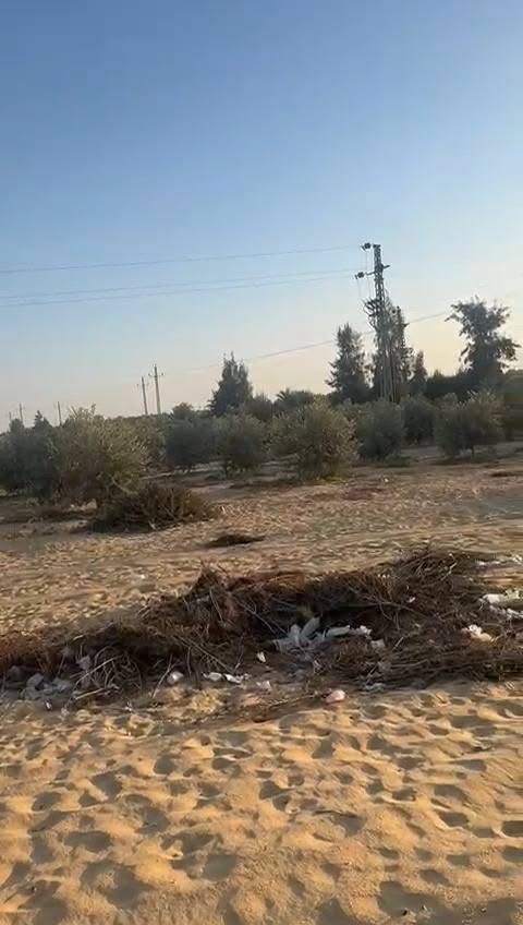 سمسار اراضي